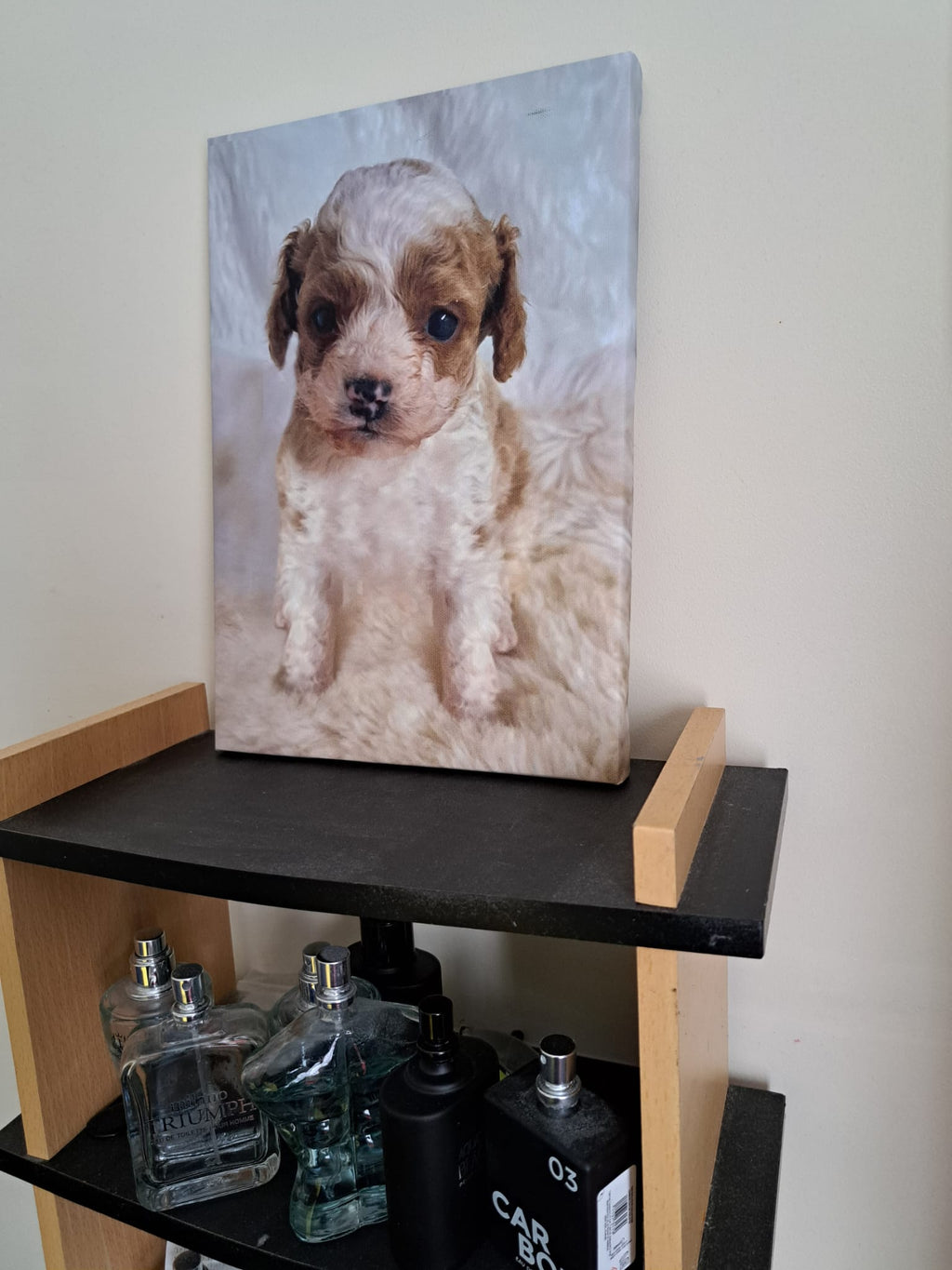 Memory Canvas Prints