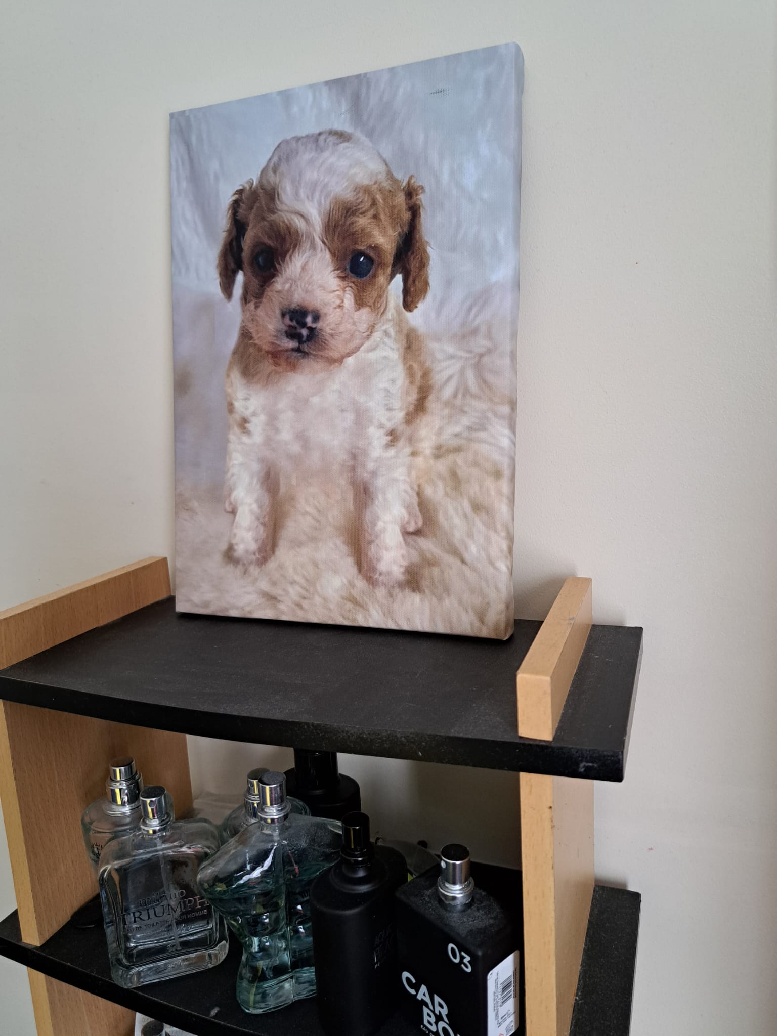 Memory Canvas Prints